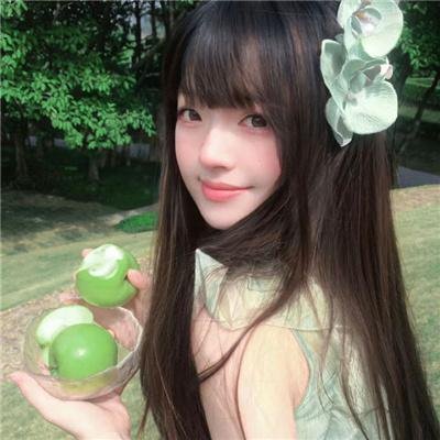 动物狂想曲第二季