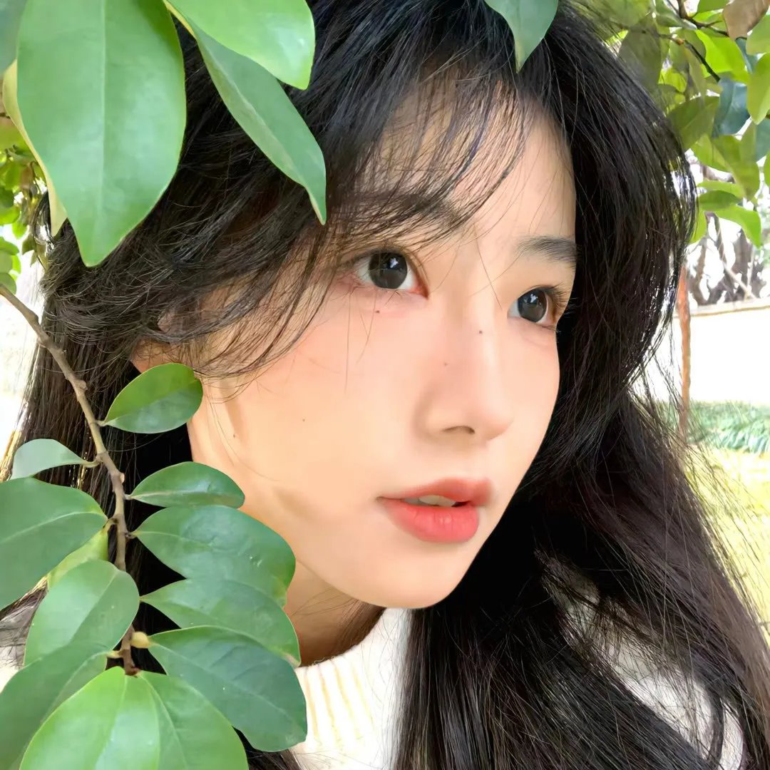 岗上花开